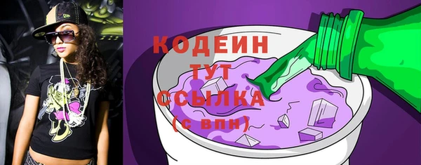 хмурый Белокуриха