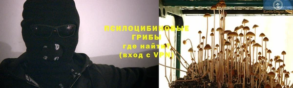 хмурый Белокуриха