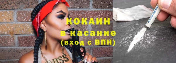 сатива Белоозёрский