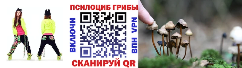 Галлюциногенные грибы прущие грибы  Козловка 