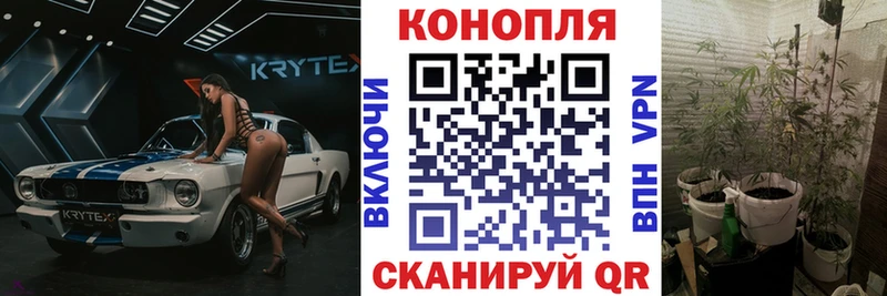 Конопля марихуана Козловка